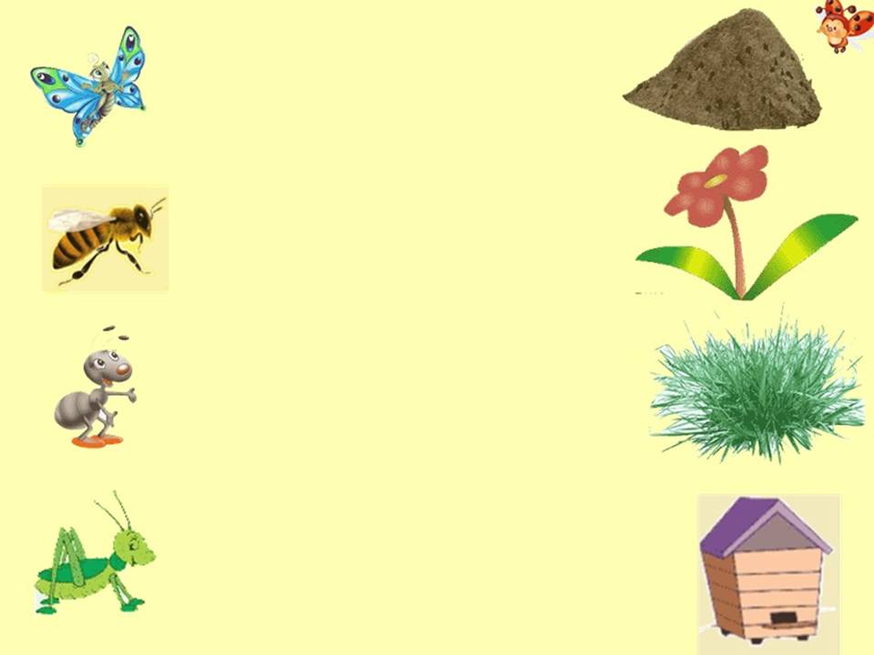 Насекомые 1 младшая группа. Дидактическая игра насекомые кто где живет. Карточки насекомых для дошкольников. Дидактика насекомые для дошкольников. Жилище насекомых для дошкольников.