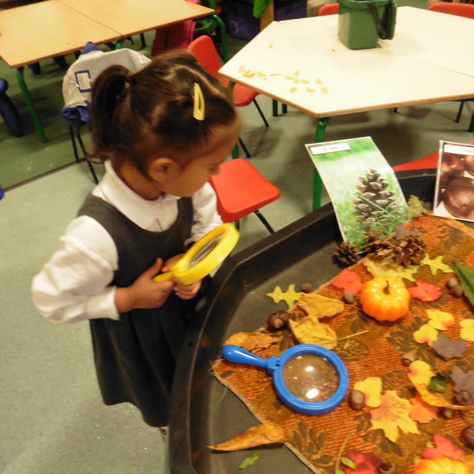 Windhill21: Harvest Festival and Autumn discoveries!