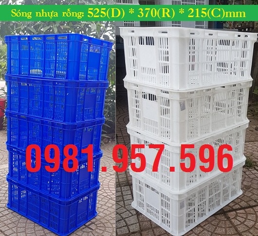 Sóng nhựa đựng thực phẩm, sóng nhựa Hs018, sóng nhựa rỗng nhỏ