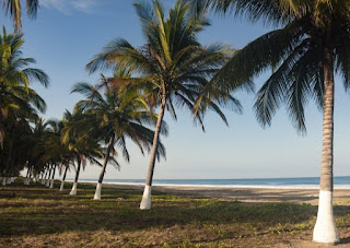 Land For Sale in Playa Tortugas