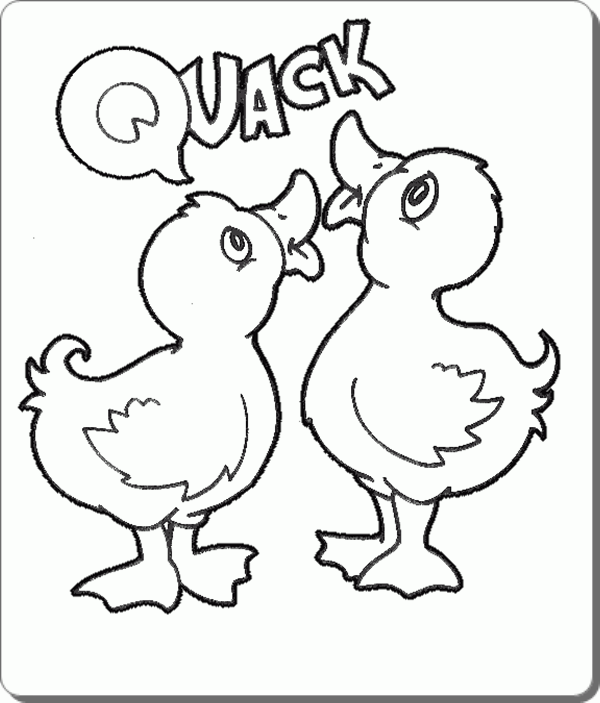 Ausmalbilder zum Ausdrucken: Ausmalbilder Tiere