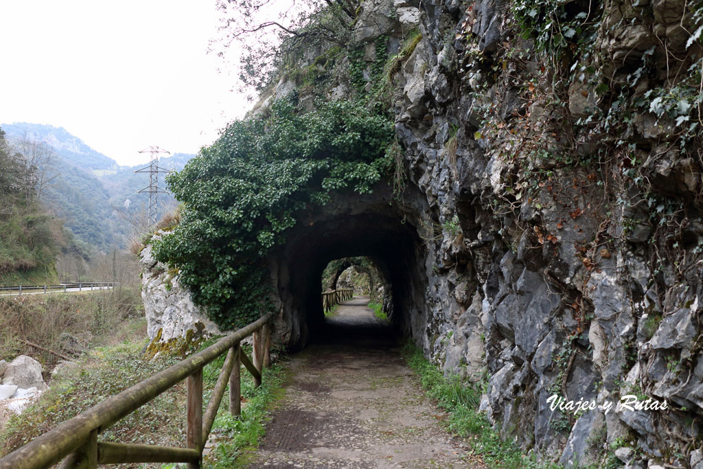 Senda del oso, Asturias