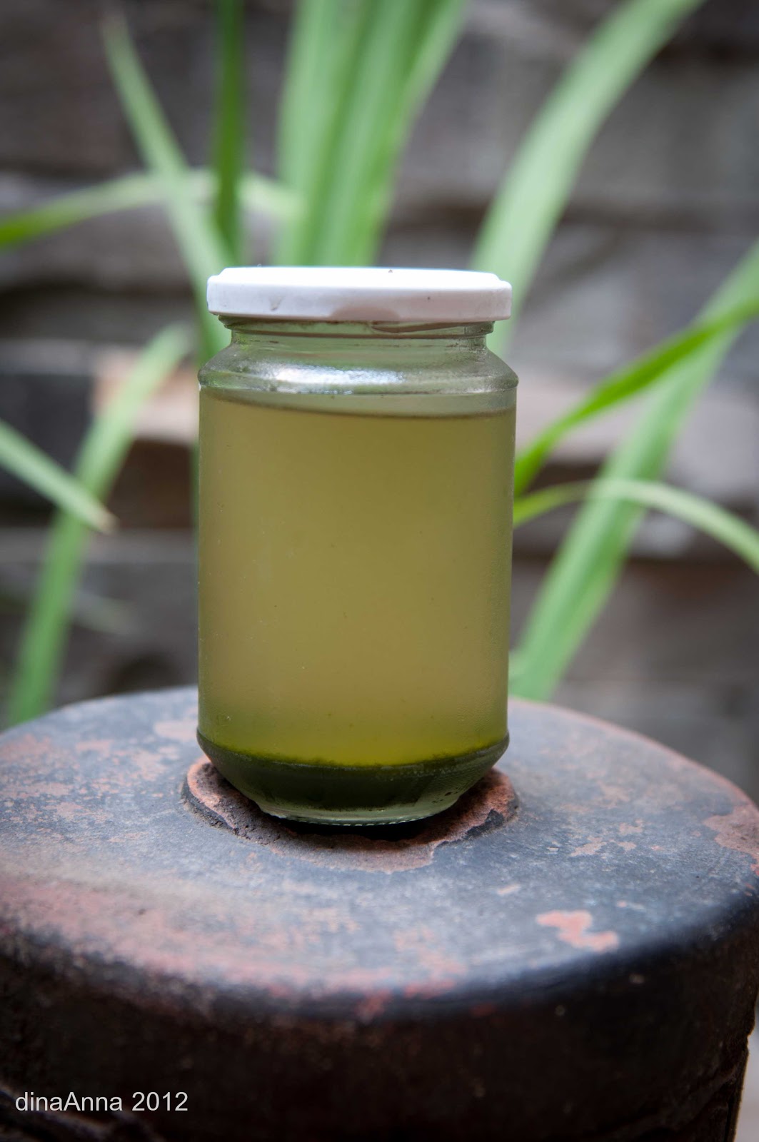 Homemade Heartmade it is the pandan paste!