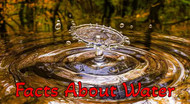 [100+] Best Interesting Facts about Water in Hindi