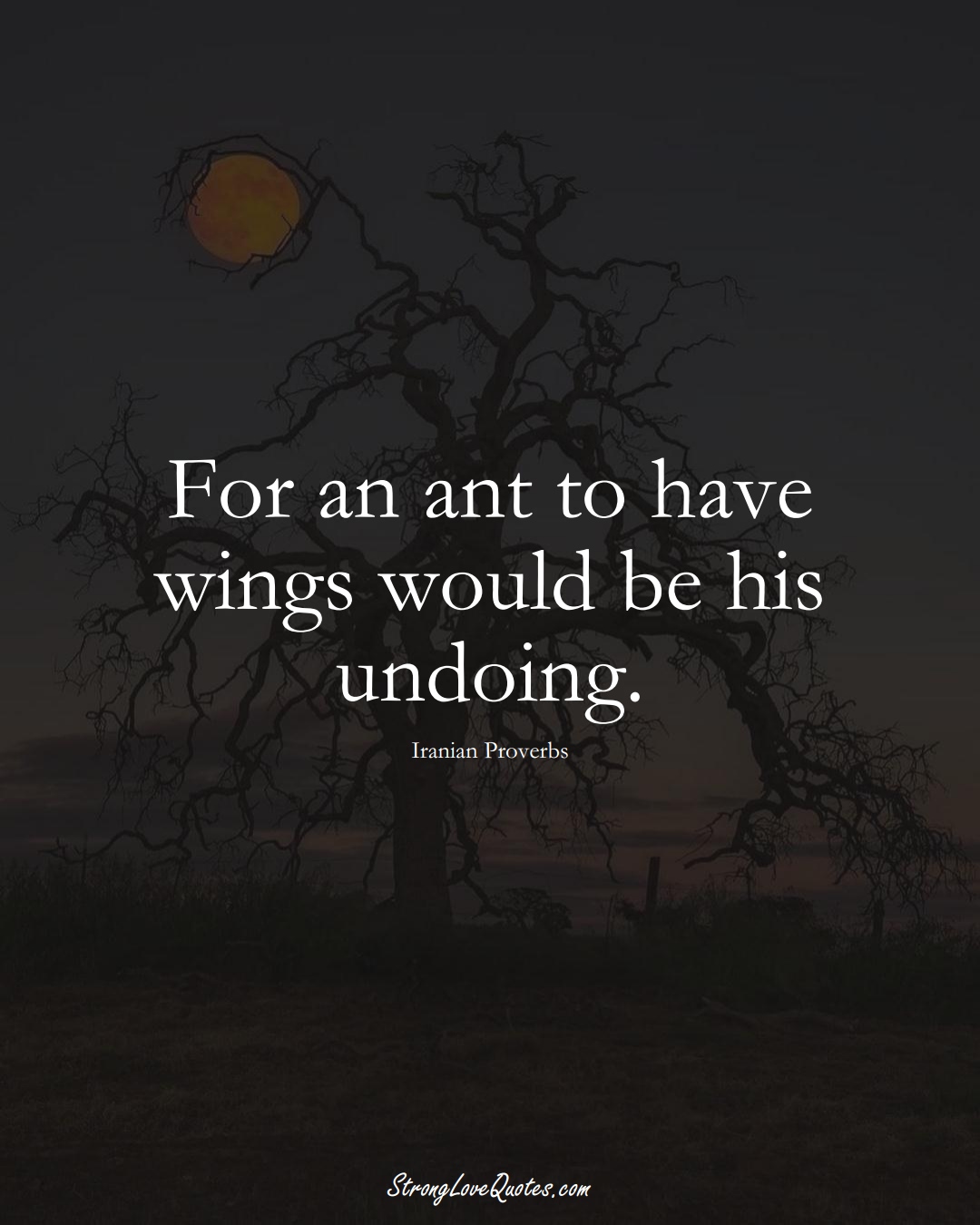 For an ant to have wings would be his undoing. (Iranian Sayings);  #MiddleEasternSayings