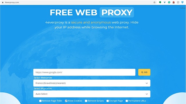 Web Proxy