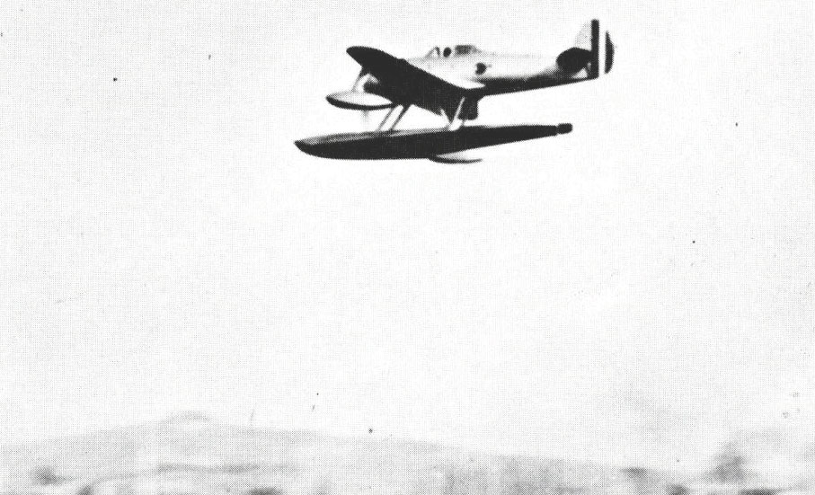 nhungdoicanh IMAM Ro.51