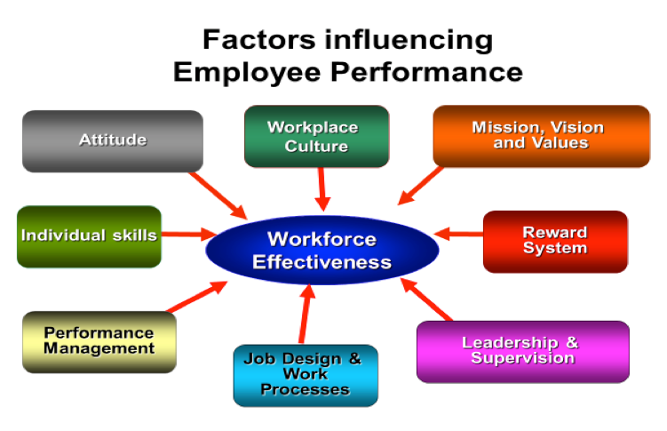 MAJOR FACTORS INFLUENCING JOB PERFORMANCE AND BEHAVIOR major-factors-influencing-job-performance-and-behavior