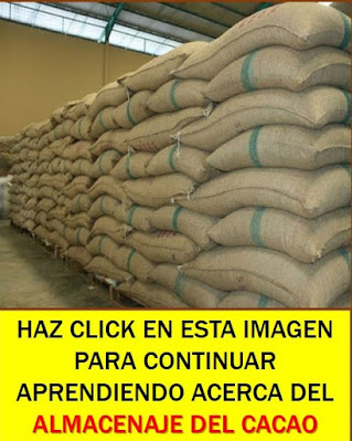 Cacao almacenado en sacos.