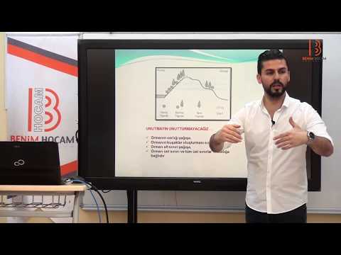 upxdu1 josiecarterproductionsllc org