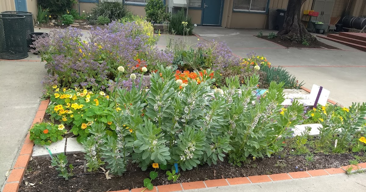 The Scientific Gardener Spring Garden Visits