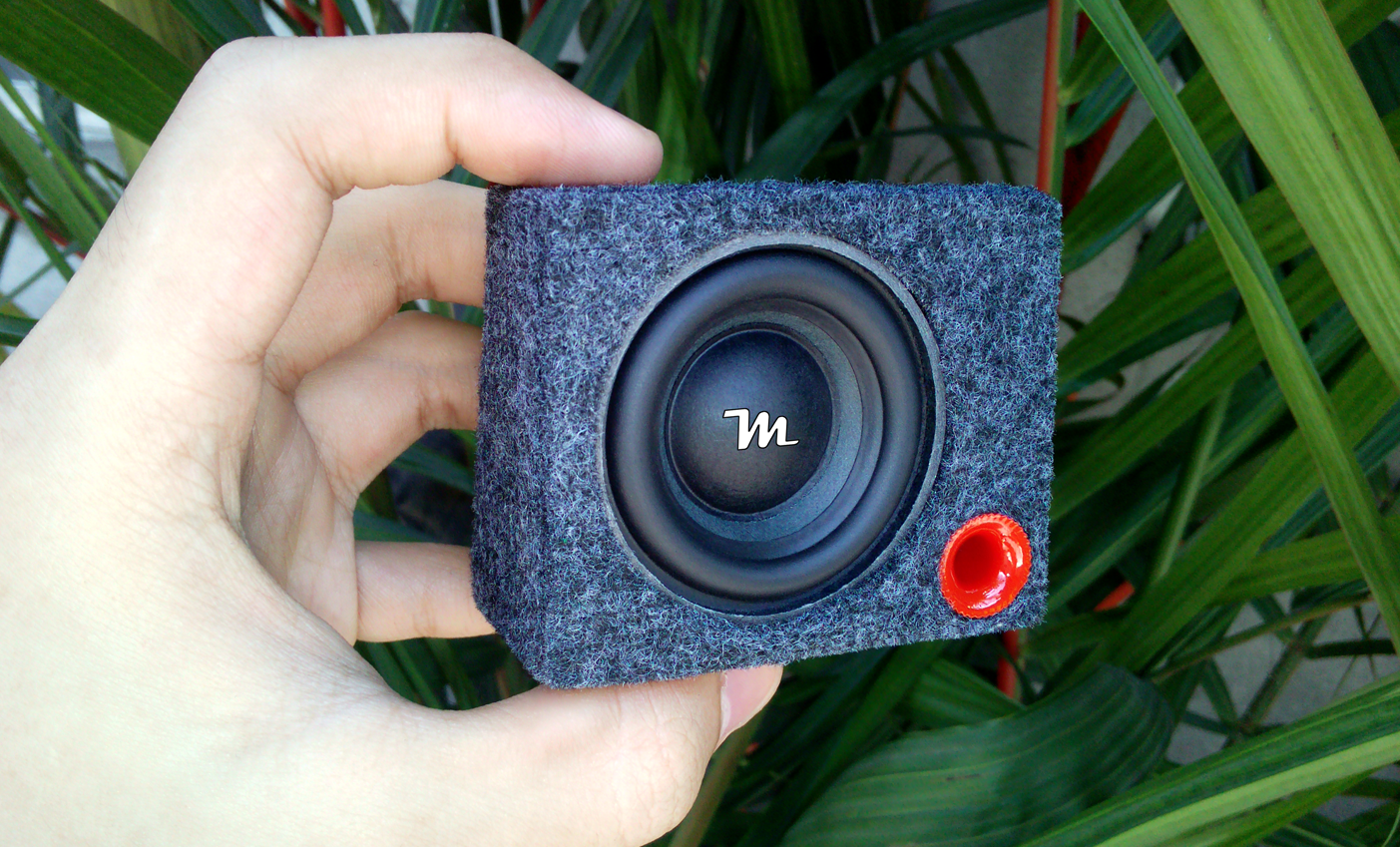 DIY Mini Subwoofer MINI SUBWOOFER TEST (Bass Boosted)