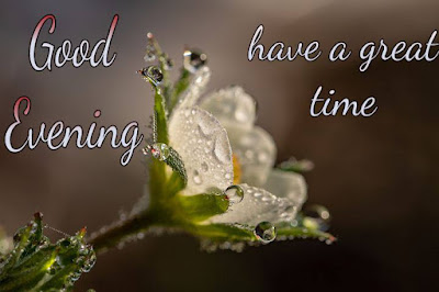 Good Evening images for lovers free download Good evening images for lovers free download