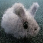 http://www.ravelry.com/patterns/library/hops-the-bunny-rabbit