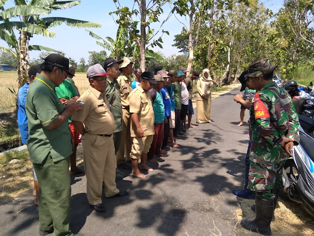 Babinsa Wonosari Lakukan Simulasi Geropyokan Tikus Bersama Petani