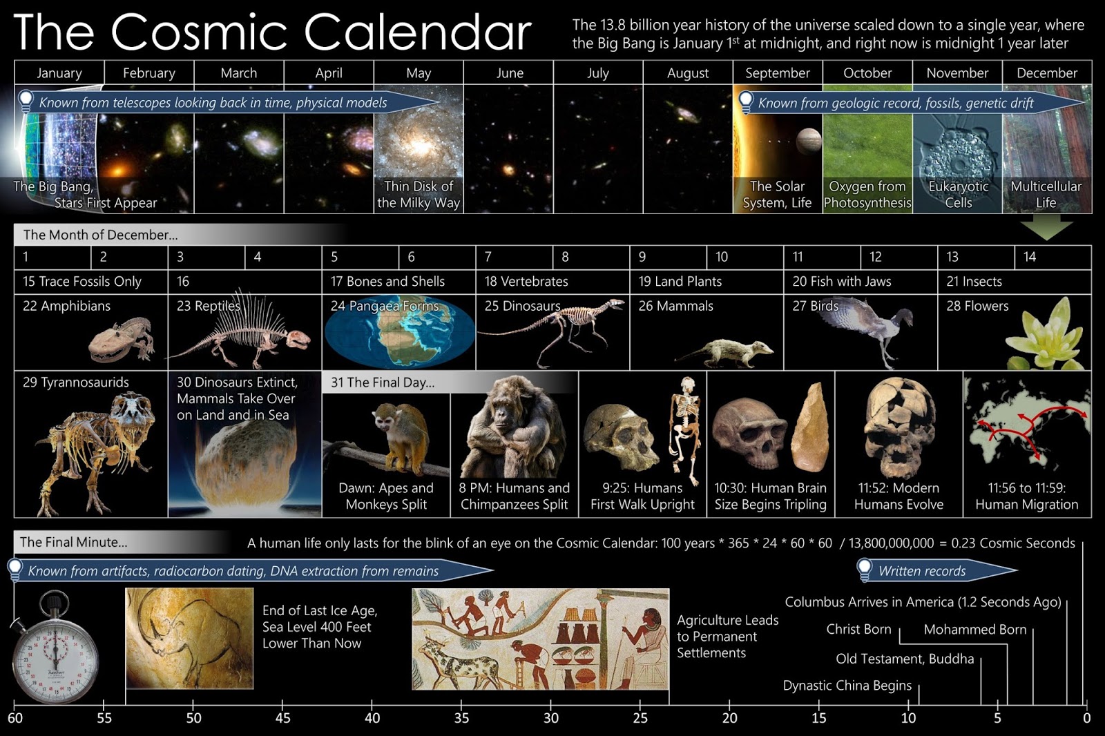 THE HISTORY OF THE UNIVERSE IN ONE YEAR