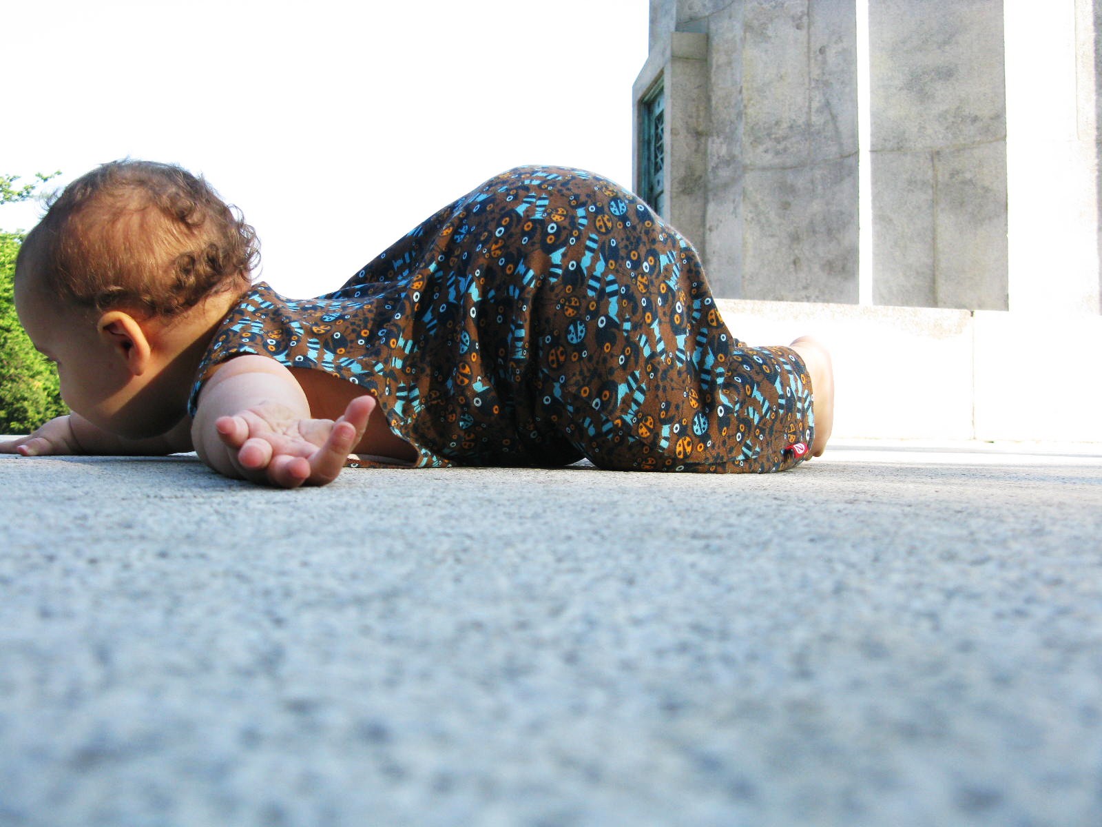 living room yoga Baby Knees Chest Chin Pose