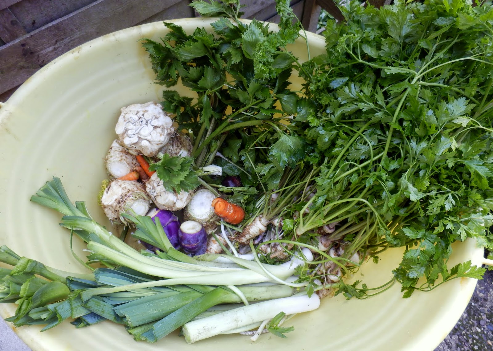 patchgarden Petersilie, Suppenkraut wächst in meinem