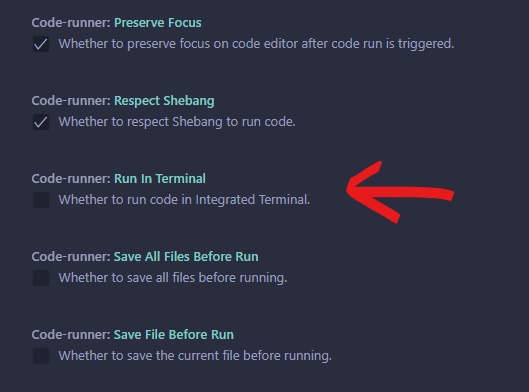 code runner - run in terminal