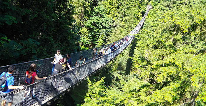 Capilano Bridge