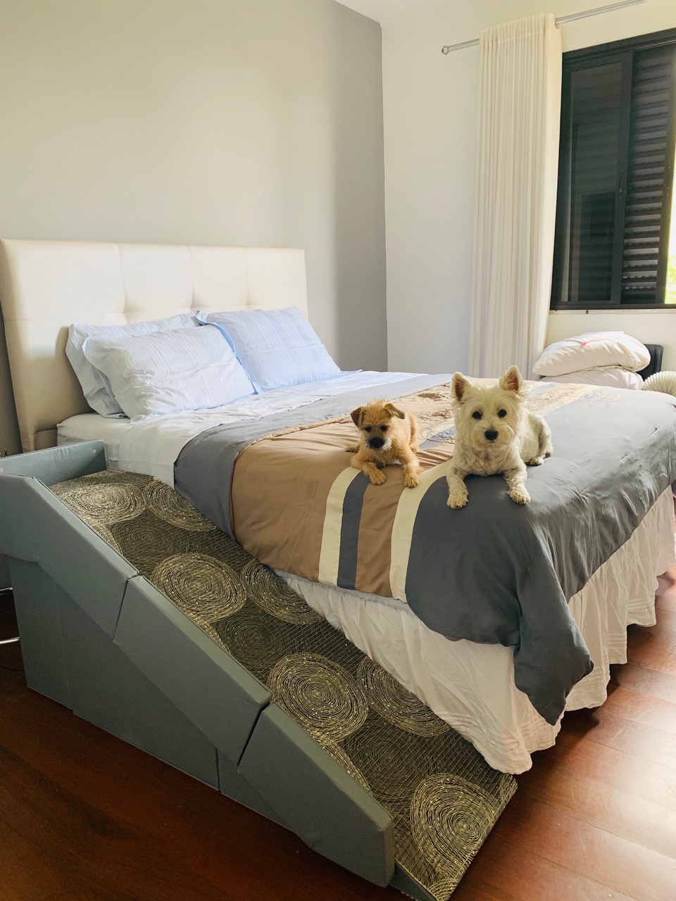 Escadas e rampas para cães subir em cama ou sofas: Cavalo e a