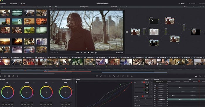what audio files does davinci resolve support