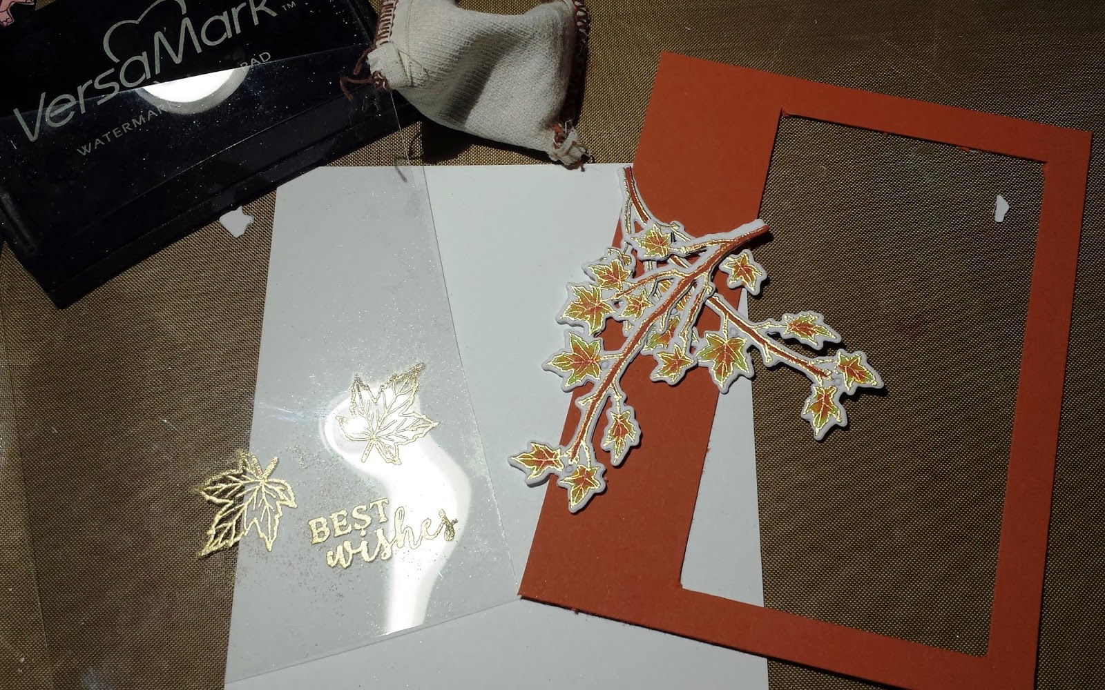 Fall Shaker card and embossing on acetate
