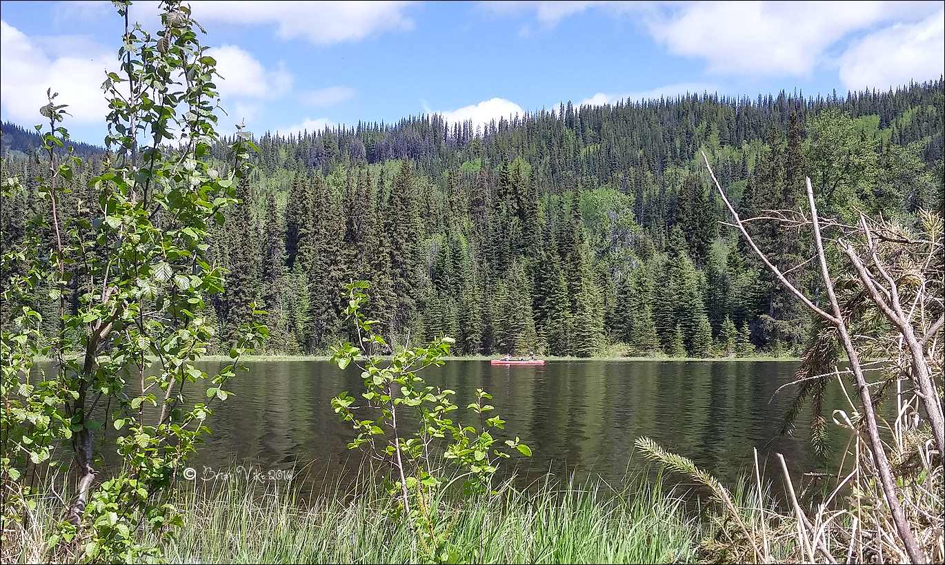 Northern Interior British Columbia Helen Lake Recreation Site Houston