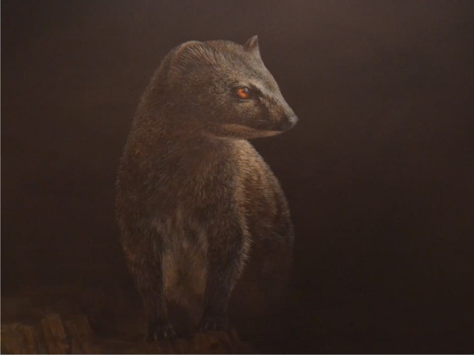 Símbolos y Significados Las mangostas símbolos de coraje