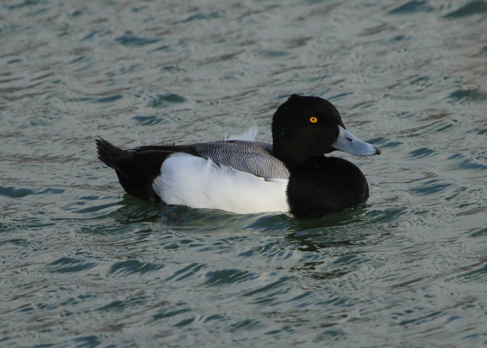 дапоксетин аптека львів