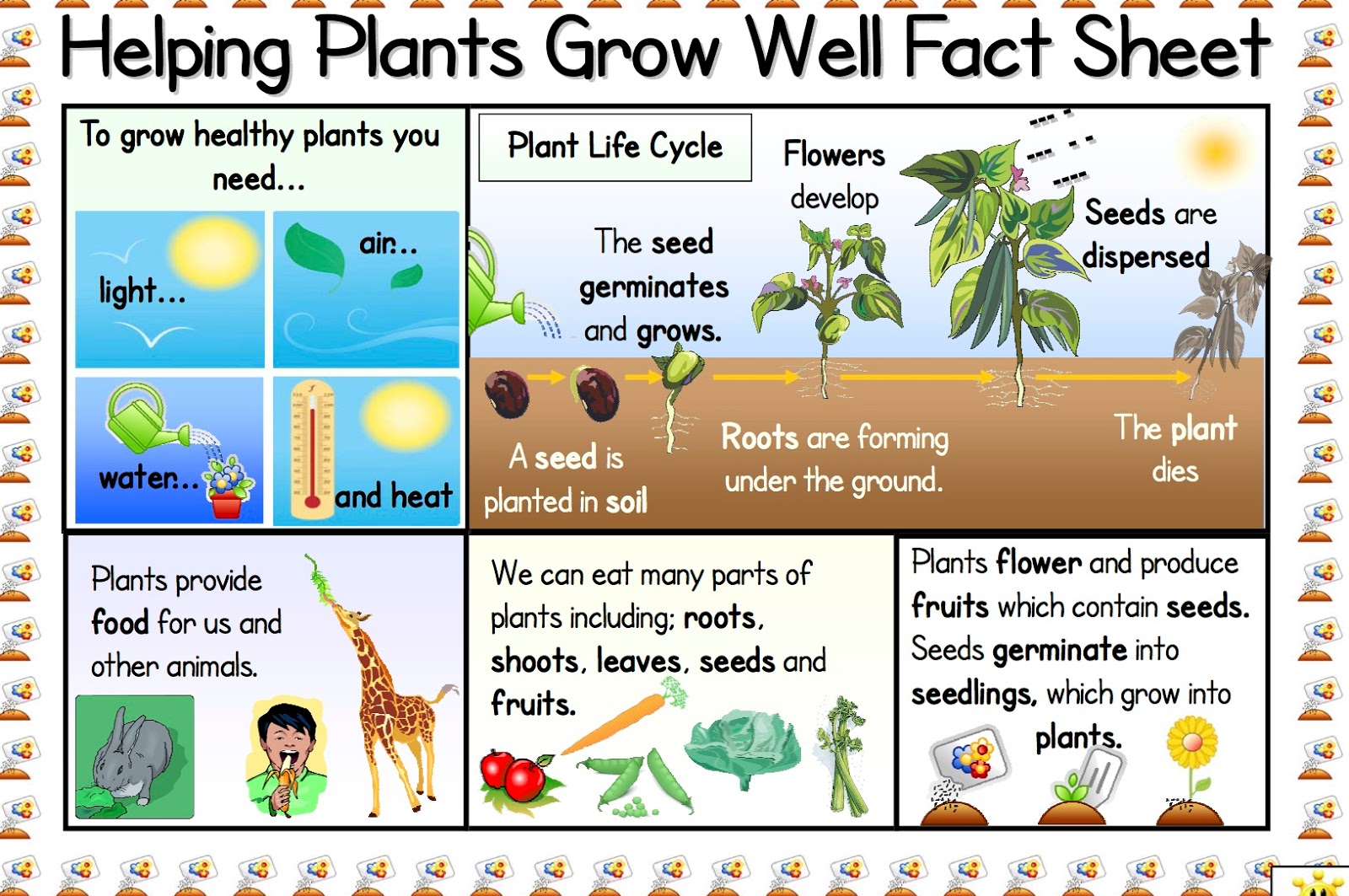 Growing better. How Plants grow. How do Plants grow. How to grow a Plant. How Plants grow for Kids.
