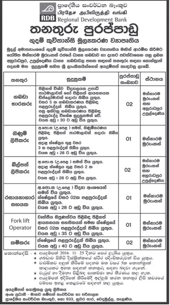 11 11 16 Government Jobs Government Gazette Government Exam Help 11 11 16 Government Jobs Government Gazette Government Exam Help