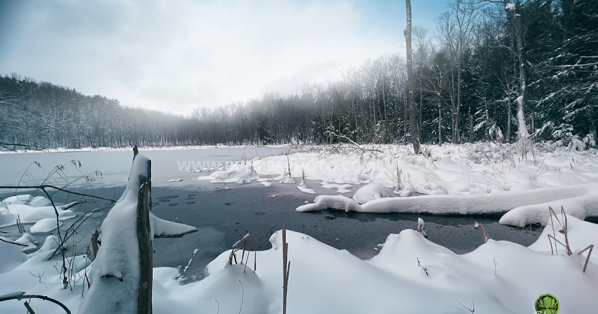 John Bulmer Professional Photographer Saratoga, New York 1.866