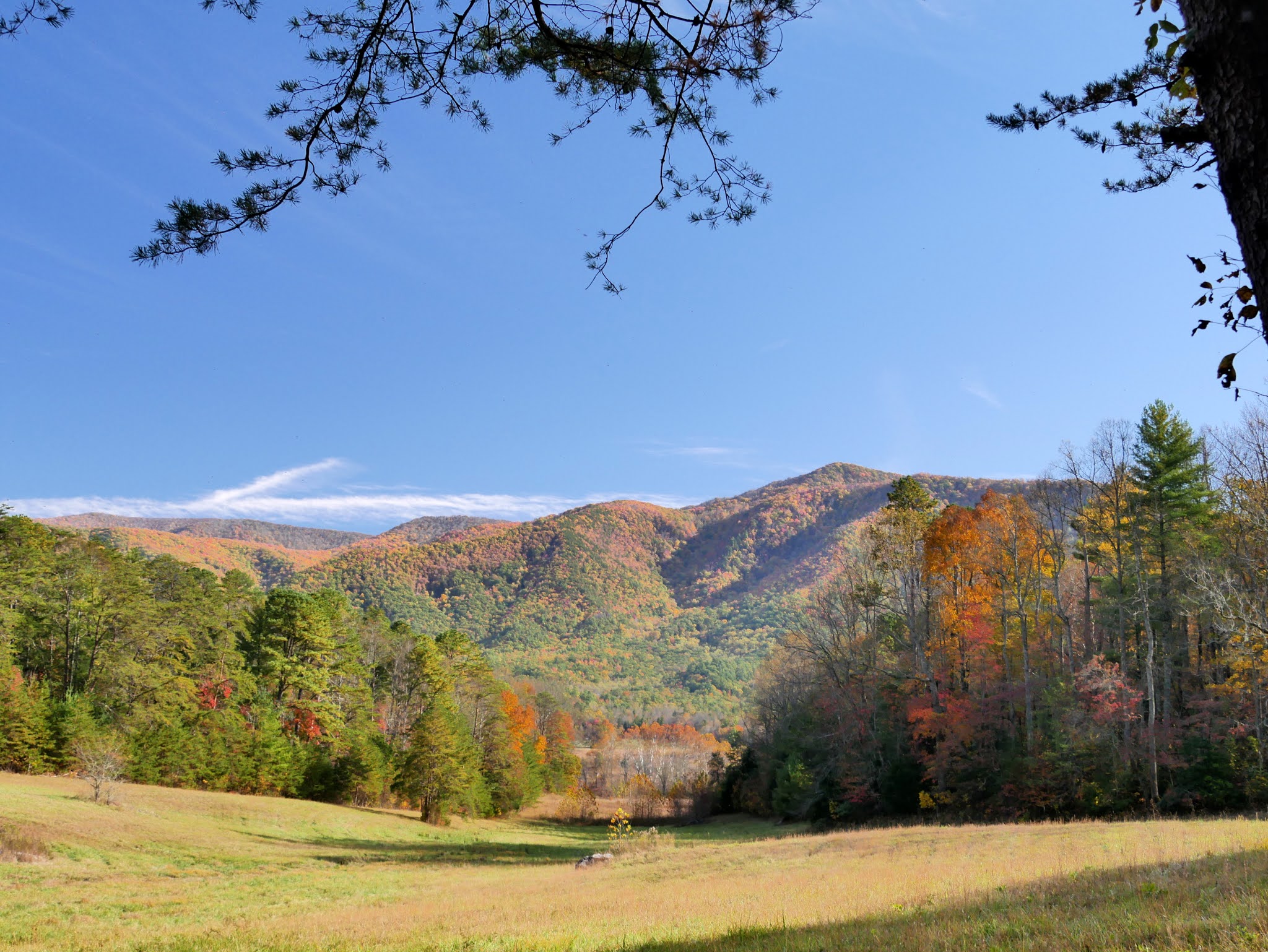 American Travel Journal Cades Cove Great Smoky Mountains National Park