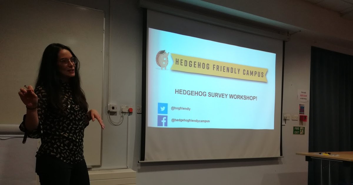 Hedgehog Footprint Tunnel Survey