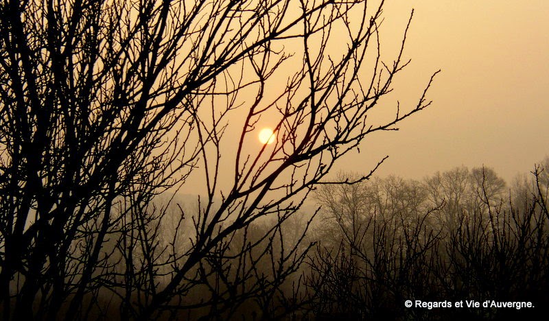 soleil du matin