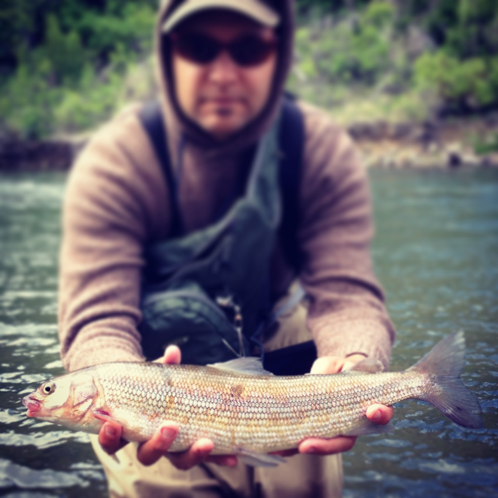 Catch, Snap, & Release A Photo Journal of FlyFishing Wardens