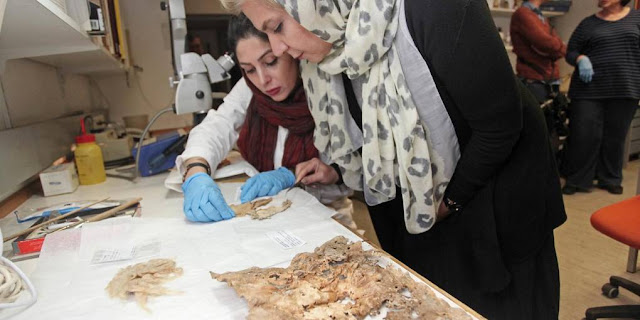 Study sheds new light on vestiges of burnt fabrics found in Persepolis Study sheds new light on vestiges of burnt fabrics found in Persepolis