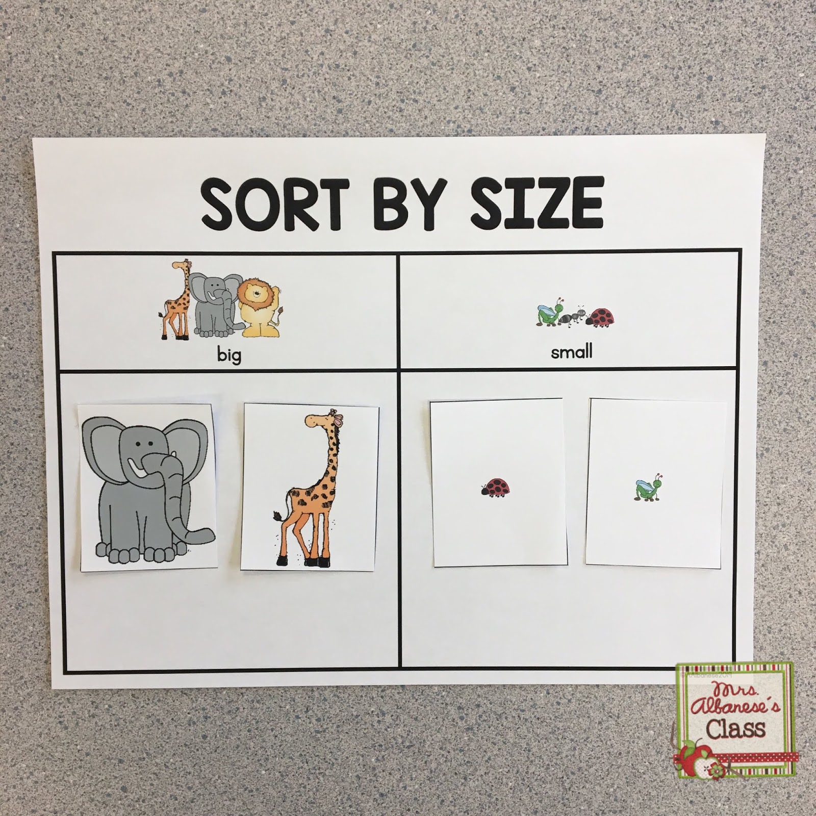 Sorting in Kindergarten | Mrs. Albanese's Kindergarten Class
