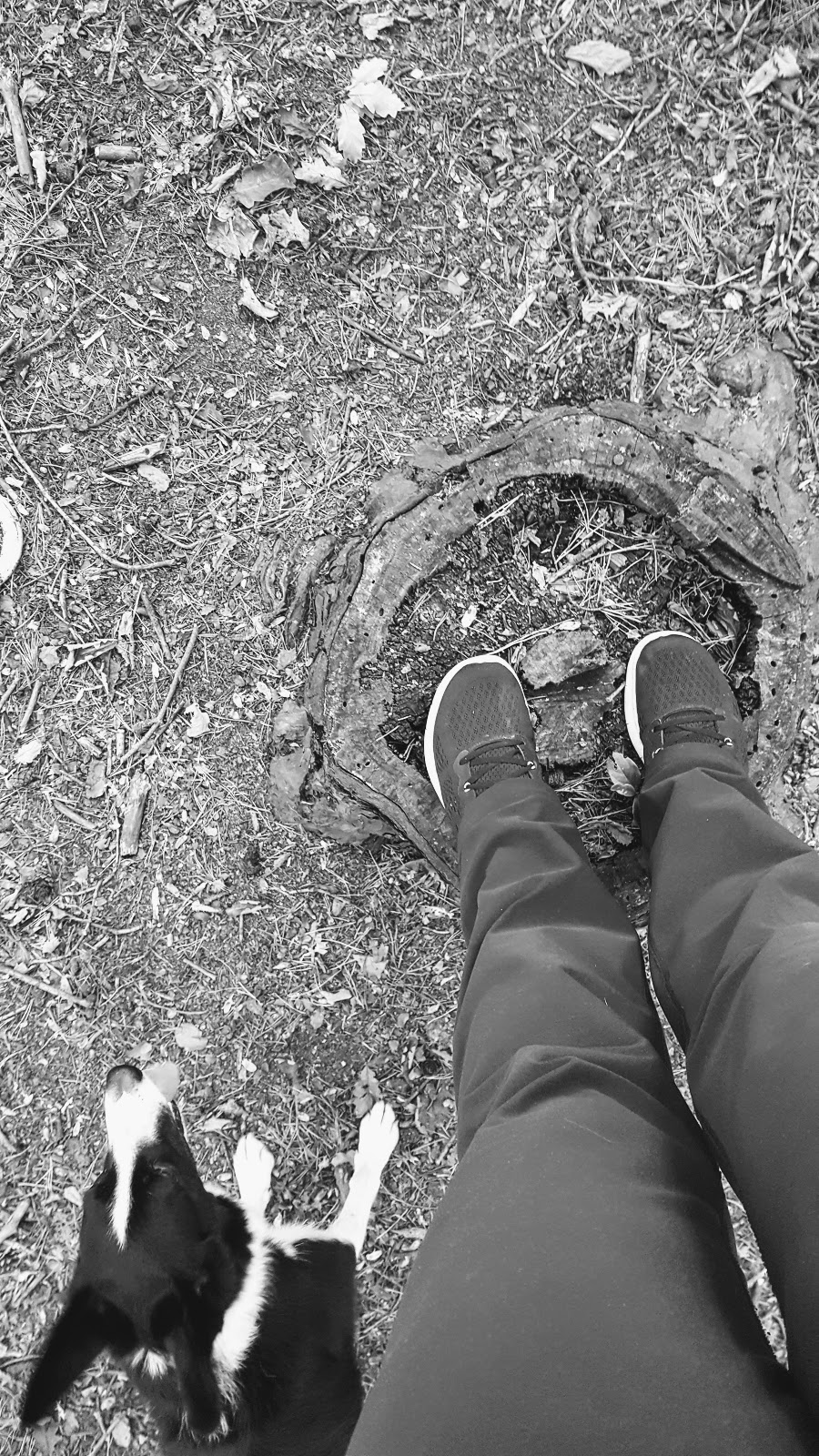 A Walk With Me And Mollie