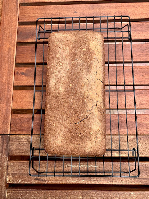 Pan de trigo sarraceno con algarroba (sin gluten)
