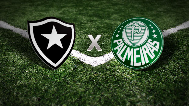Assistir Botafogo x Palmeiras Ao Vivo