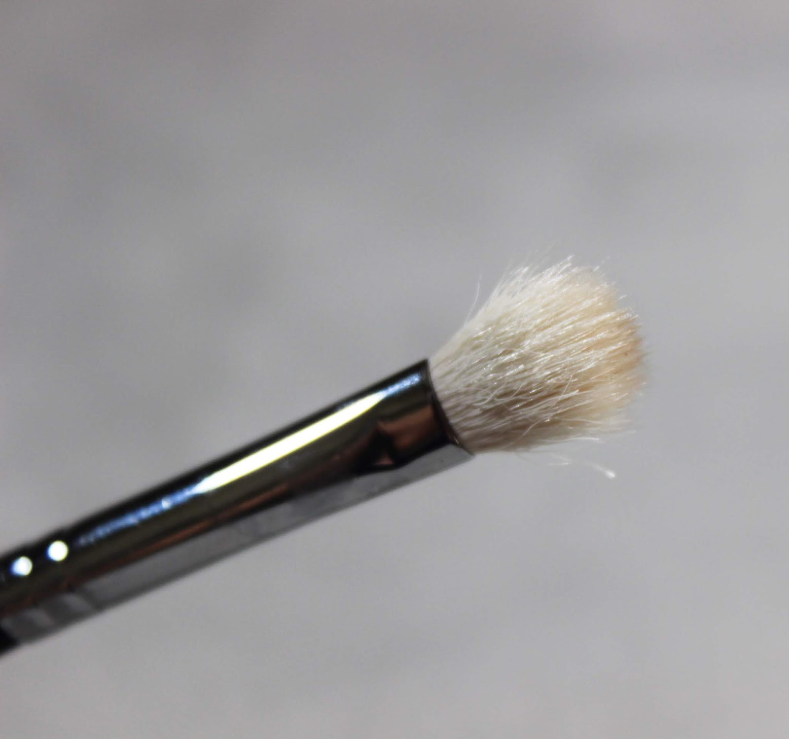 Sigma Brushes vs. Morphe Brushes Dupes? Hannah Ra