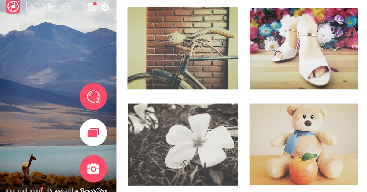 รีวิวแอปพลิเคชัน Pomelo (Pomelo Application Review) แอปฯ แต่งภาพ สะท้าน