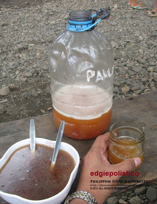 Philippine Food Illustrated tuba (red coconut wine)