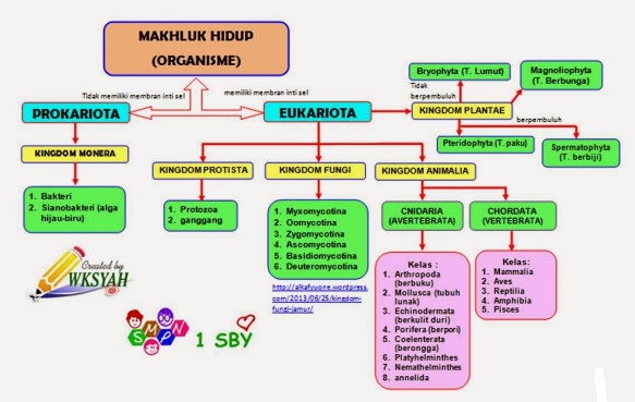 Klasifikasi Makhluk Hidup Materi Kelas 10 Semester 1