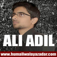 http://ishqehaider.blogspot.com/2013/11/ali-adil-nohay-2014.html