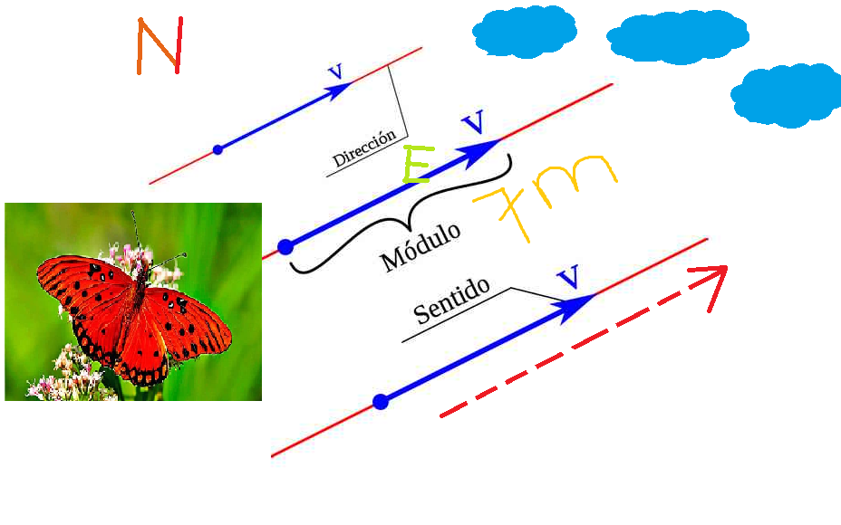 ¿Qué es un vector? y sus elementos principales
