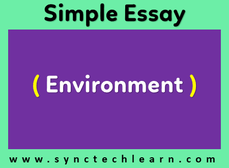 Essay on environment in english
