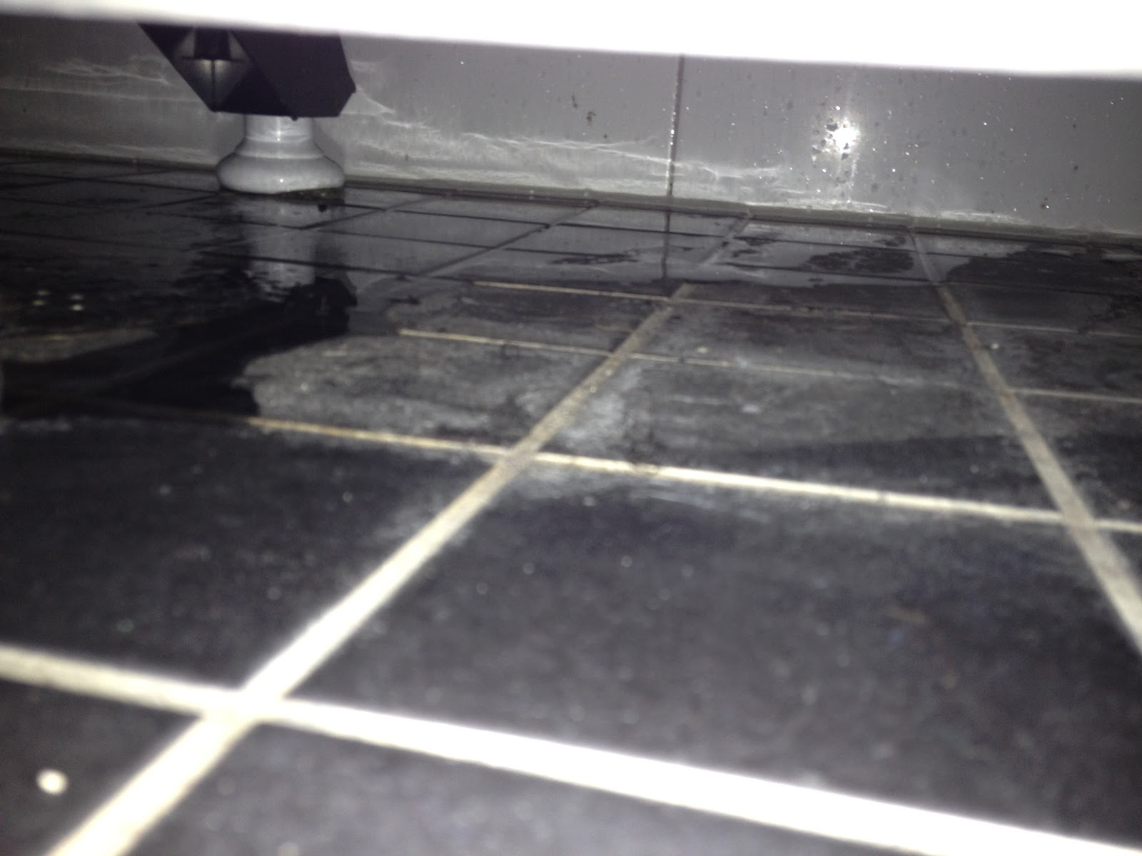 Building Our Sustainable Future 20120902